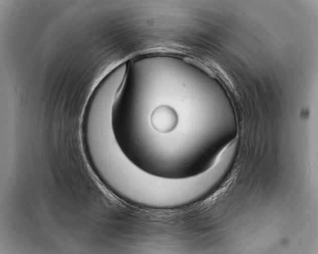 X0000098170893200805151114