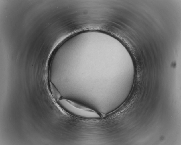 X0000098170894200805151114