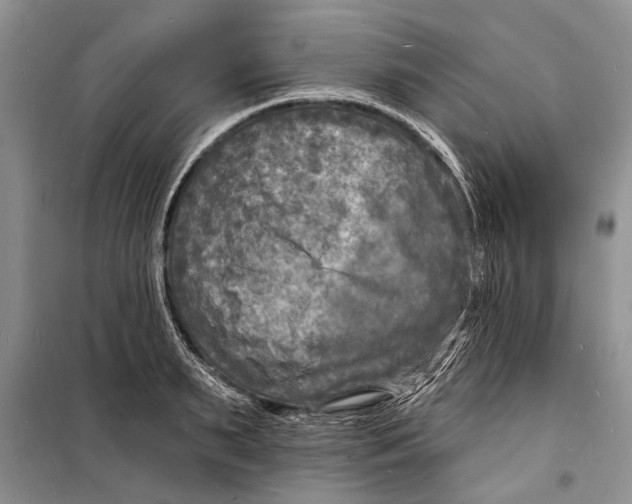 X0000098170895200805151114