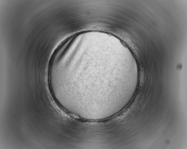 X0000098170896200805151114