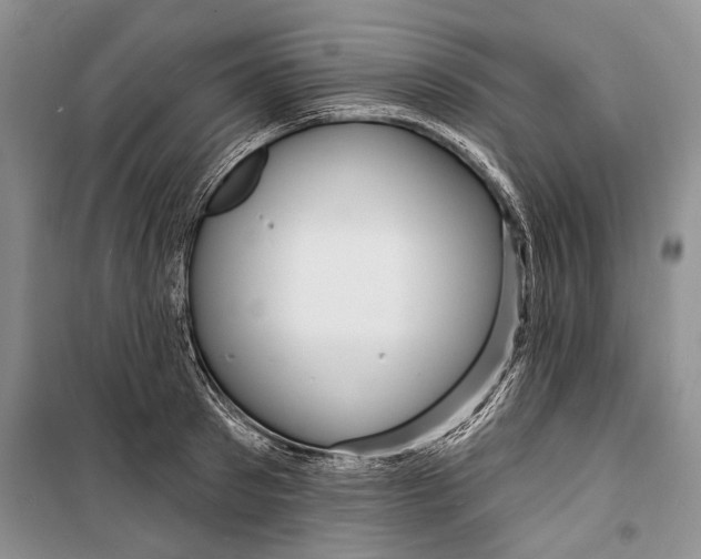 X0000098170897200805151114