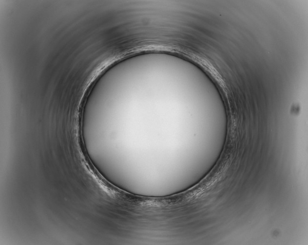 X0000098170898200805151114