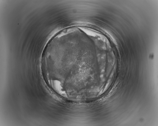 X0000098170899200805151114