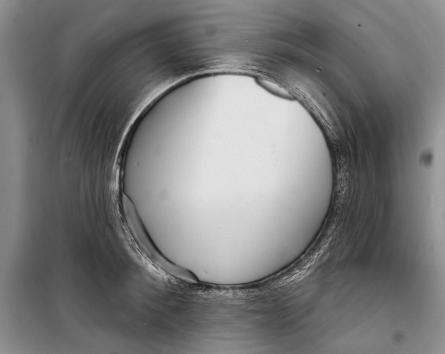 X0000098170900200805151114