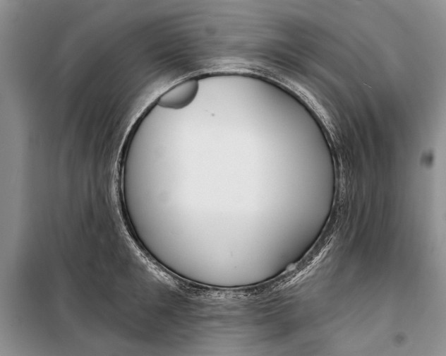 X0000098170901200805151114