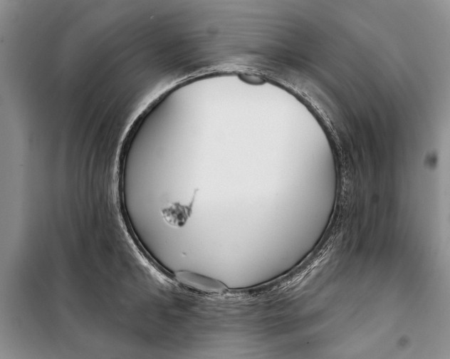 X0000098170902200805151114