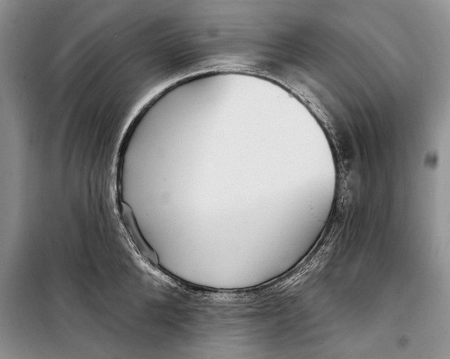 X0000098170904200805151114