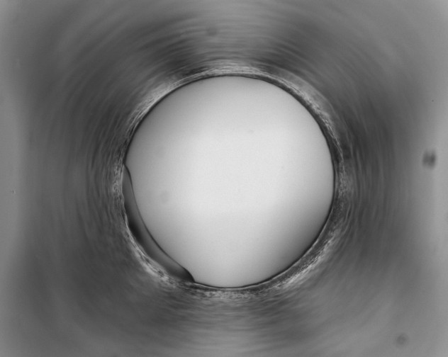 X0000098170905200805151114