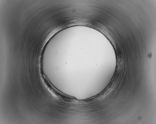 X0000098170906200805151113