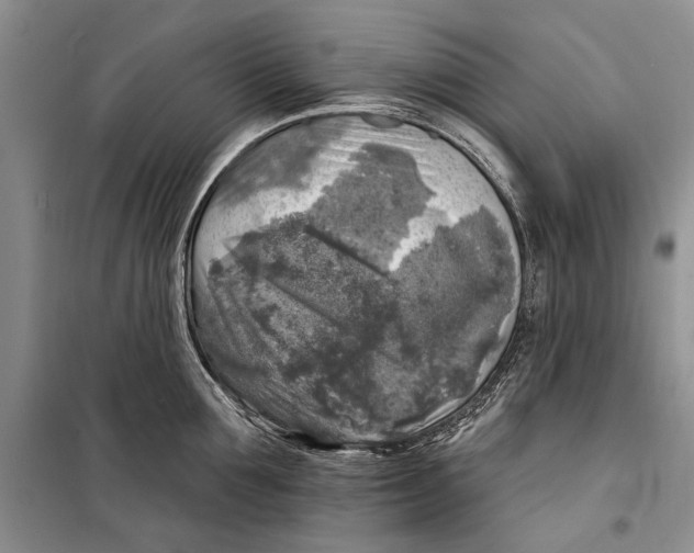 X0000098170907200805151113