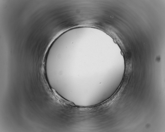 X0000098170908200805151113