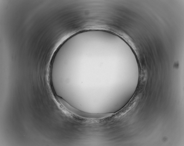 X0000098170909200805151113