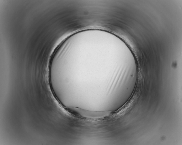 X0000098170910200805151113