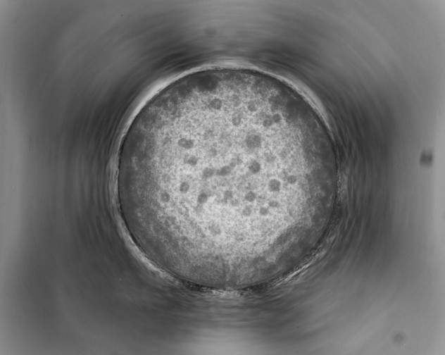 X0000098170911200805151113