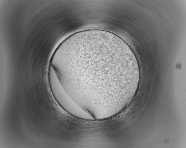 X0000098170912200805151113