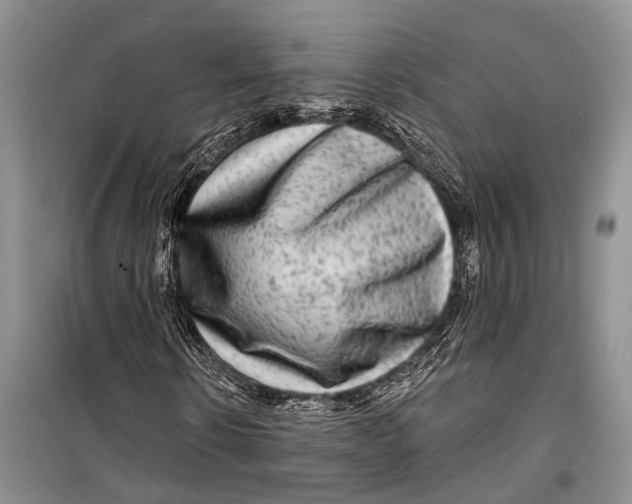 X0000098170914200805151113