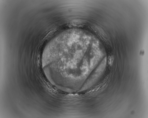 X0000098170915200805151113