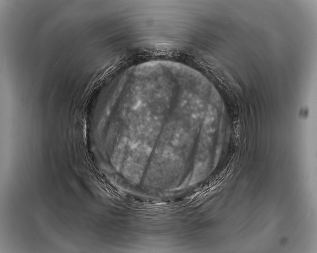 X0000098170916200805151113