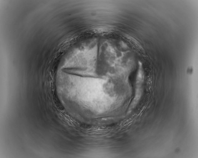 X0000098170917200805151113