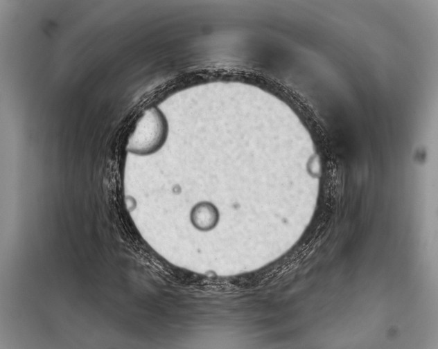 X0000098170918200805151113