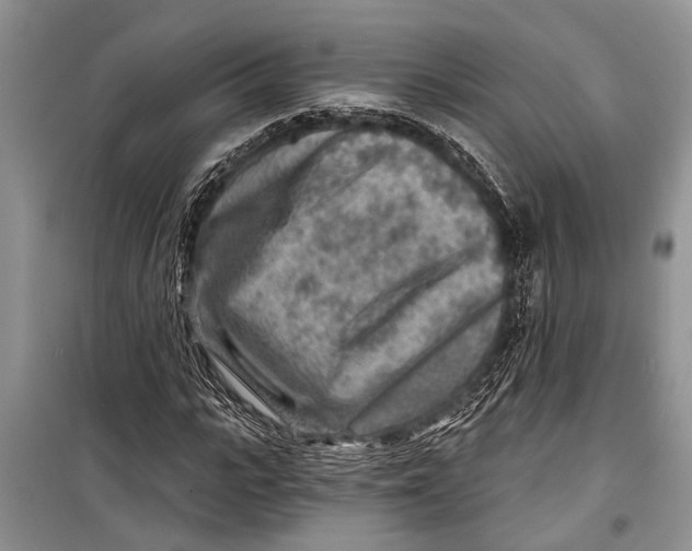 X0000098170919200805151113