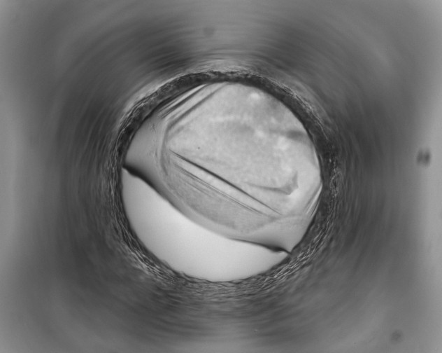 X0000098170920200805151113