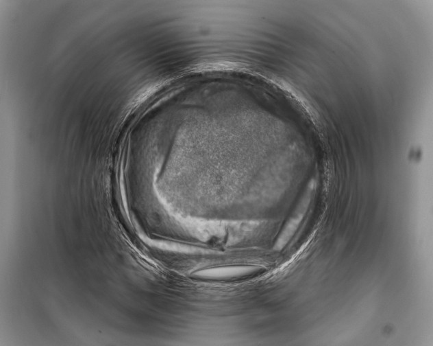 X0000098170921200805151113