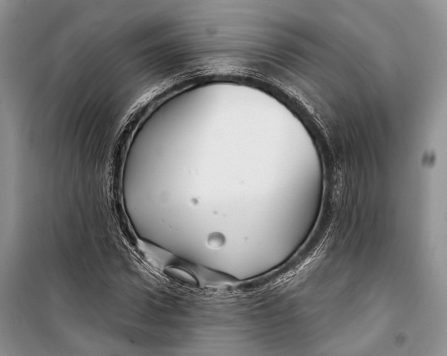 X0000098170922200805151113