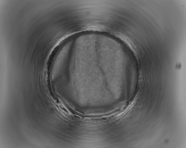 X0000098170923200805151113