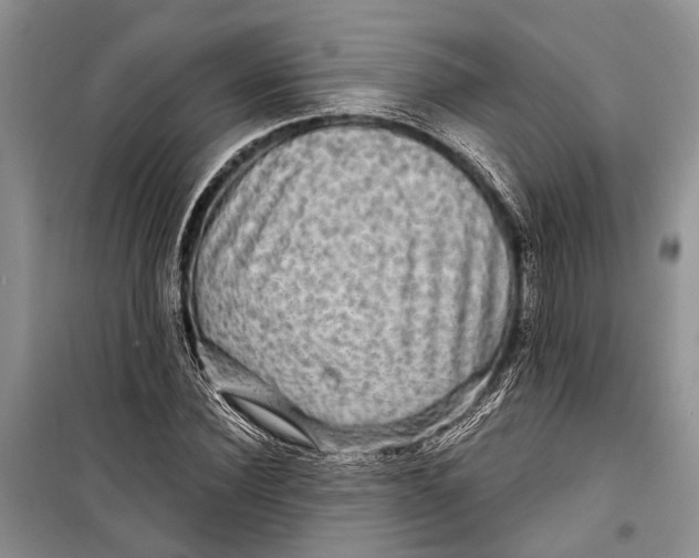 X0000098170924200805151113