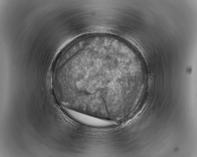 X0000098170925200805151113