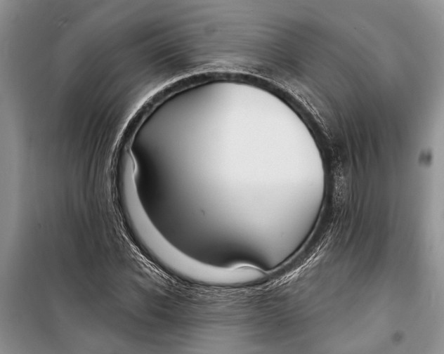 X0000098170926200805151113