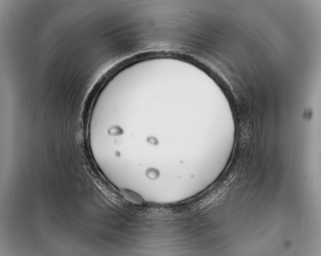 X0000098170927200805151113