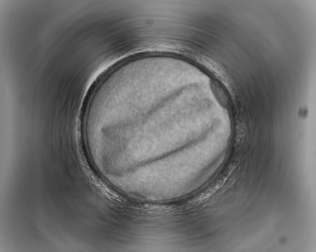 X0000098170928200805151113