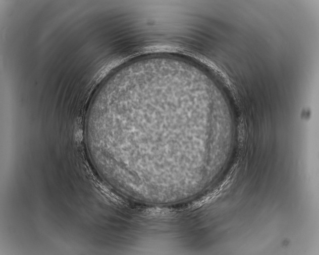 X0000098170929200805151113