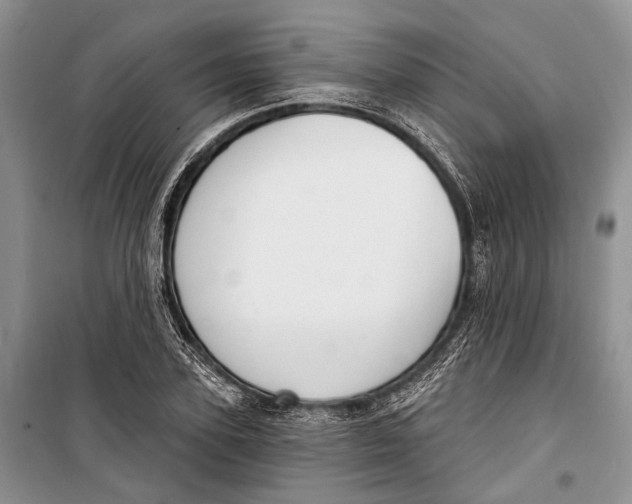 X0000098170931200805151113