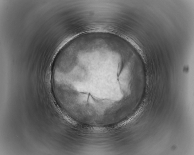 X0000098170933200805151113