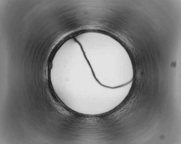 X0000098170934200805151113