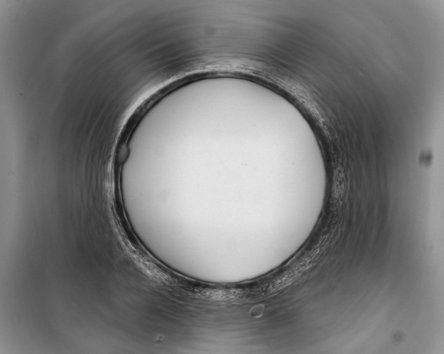 X0000098170936200805151113