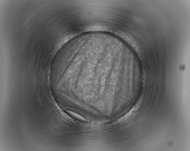 X0000098170937200805151113