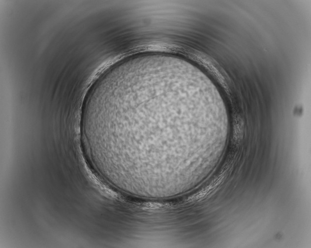 X0000098170938200805151113