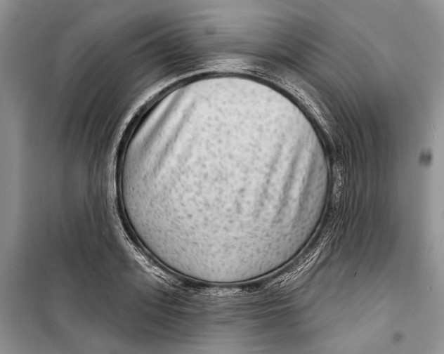 X0000098170939200805151113