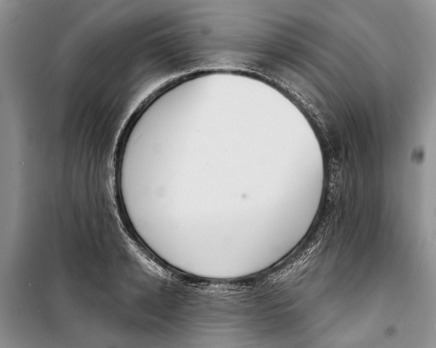 X0000098170942200805151113