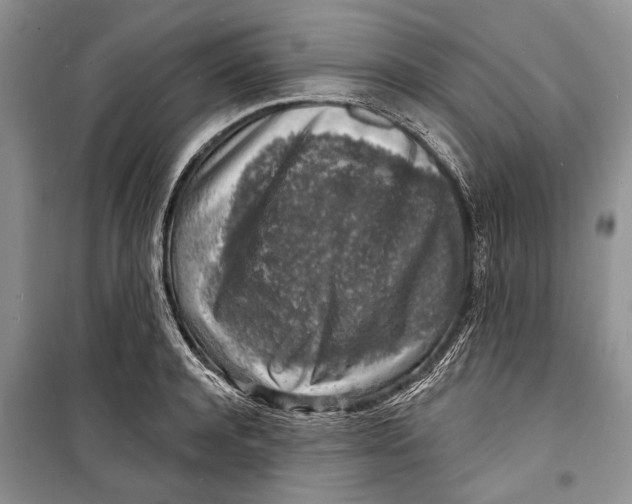 X0000098170944200805151113