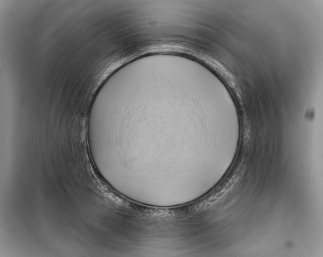 X0000098170945200805151113