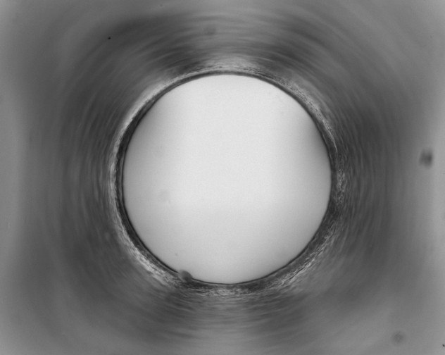 X0000098170947200805151113