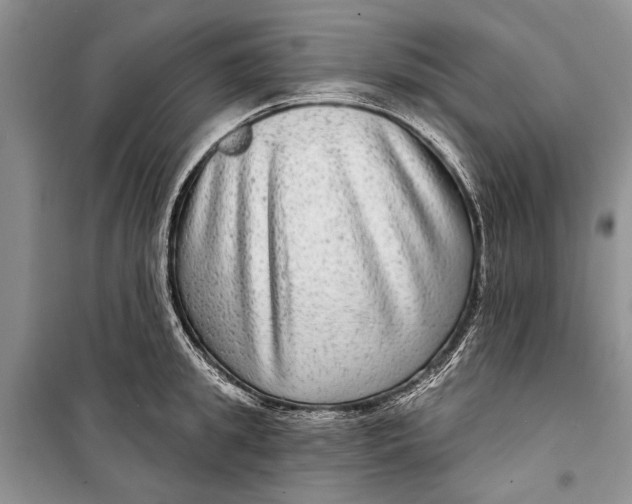 X0000098170949200805151113