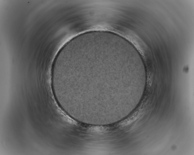 X0000098170950200805151113