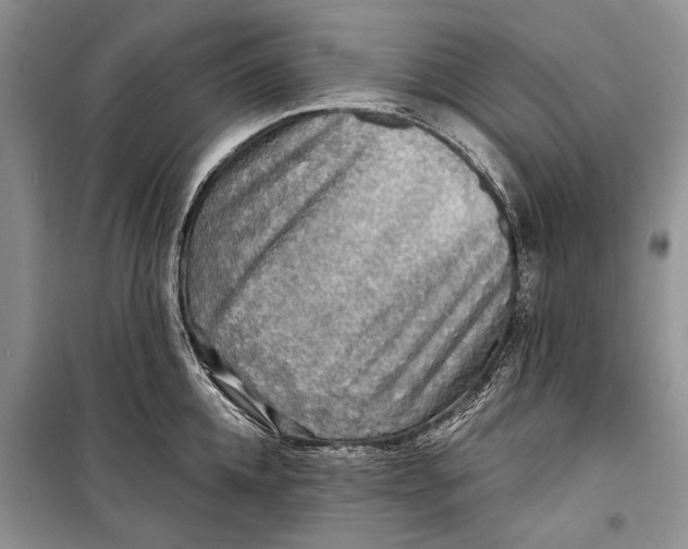 X0000098170952200805151113