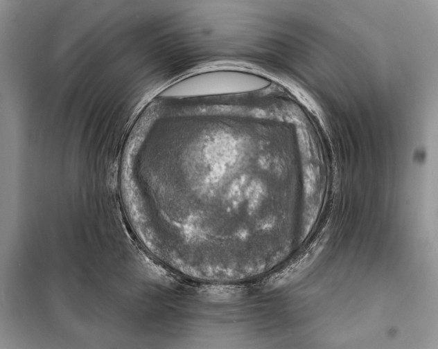 X0000098170953200805151113